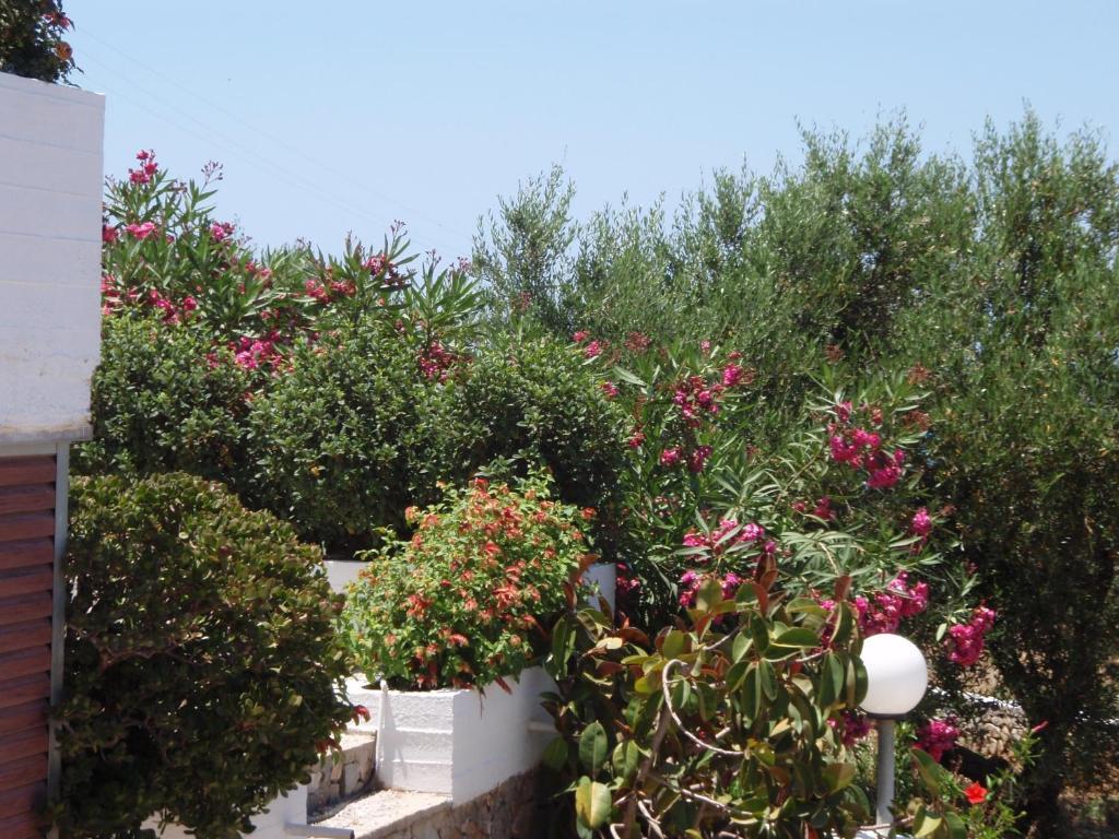 Villas Michalis Chorafakia Bagian luar foto