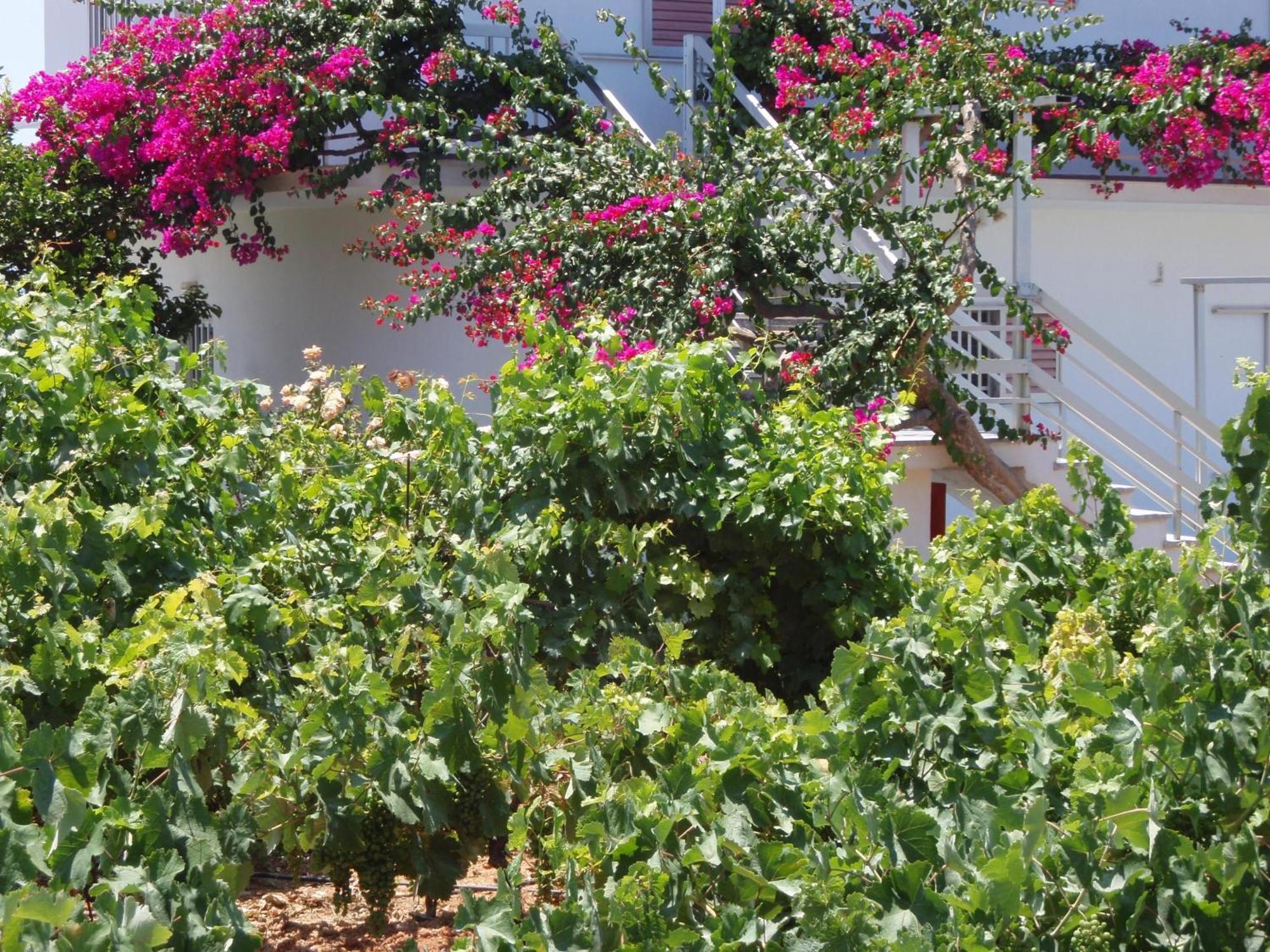 Villas Michalis Chorafakia Bagian luar foto